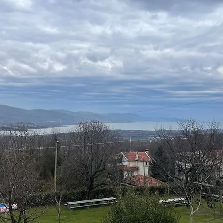 Dag Evi