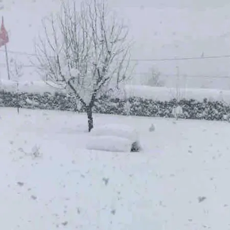 Dag Evi * Kartepe